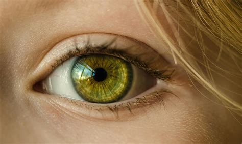 eye stock images|pictures of your eyes.